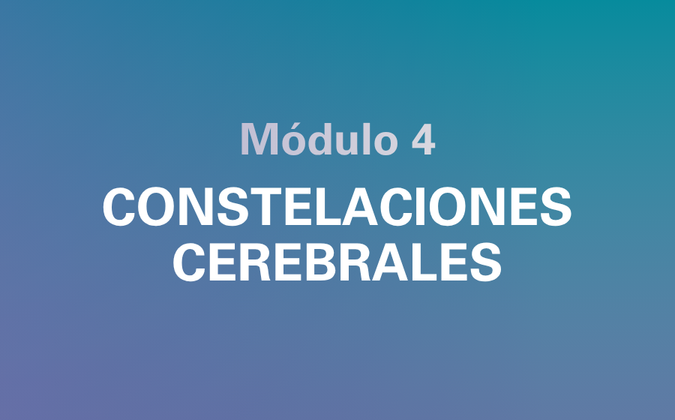 Módulo 04 — Constelaciones Cerebrales