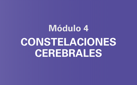 Módulo 04 — Constelaciones Cerebrales