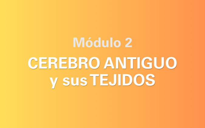 Módulo 02 — Cerebro Antiguo y sus tejidos